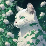 Jasunr