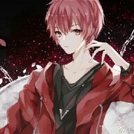 无影533