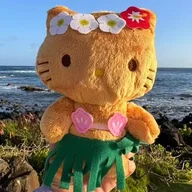 Kauai_Official