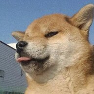 iIkun