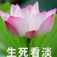 四方的花